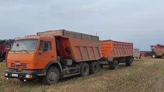 Harvest 2023 is coming to an end! My opinion about Euro Kamaz! Which is better, Kamaz USSR or Eur...
