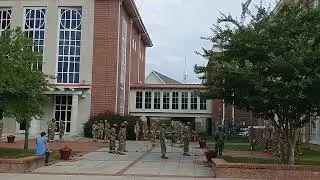 Alpha-stomp