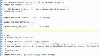 WP201-12 Optimize Wordpress-Wordpress automatic database optimizing