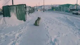 Самый холодный поселок в мире,Россия,Якутия,крайний север,Батагай