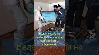Вынесли улья в этом году раньше обычного - 8 марта