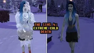 The Sims 4  Extreme Cold Death