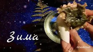 ❄ Зима!!! Декабрь.Январь.Февраль.