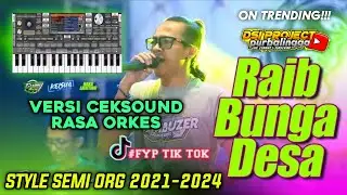 RAIB (CEKSOUND Version) - STYLE SEMI ORG 2021-2024 SET TERBARU DSIPROJECT #24