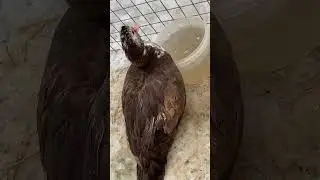 Водные процедуры🛁