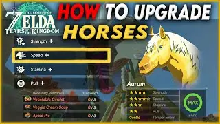How to Upgrade Your Horse in Tears of the Kingdom (Horse God Malanya Location)