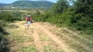 lisi qitak1