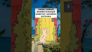 #тесты #тестнавнимательность #найдитенакартинке #найтинакартинке #головоломки #визуальныеголоволомки