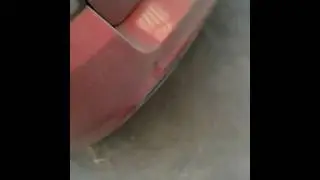 Que diria gallo en este momento?