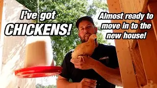 BARNDOMINIUM IS NEARLY DONE AND I'VE GOT CHICKENS!!!