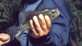 The End, Fall Crappie Fishing