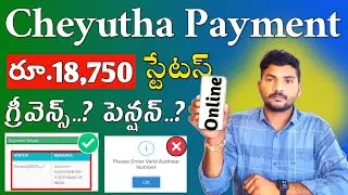 YSR Cheyutha Payment Status Online 2024 | YSR Cheyutha 2024