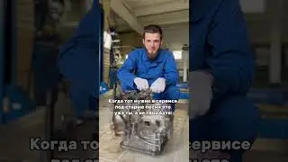 Что это, если не жиза?😂