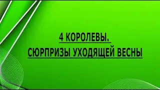 4 КОРОЛЕВЫ. СЮРПРИЗЫ УХОДЯЩЕЙ ВЕСНЫ
