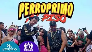‪@PerroPrimo‬