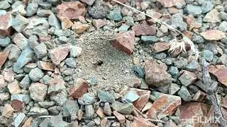 Rızkı veren Allah'tır