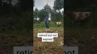 retired and re-tyred