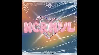 NORMVL // Yng Cop x Lflx18