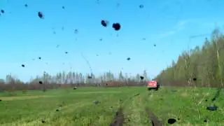 Синявинские высоты 2015( рейд памяти)
