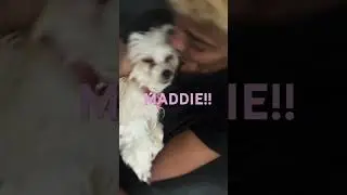 Maddie's Birthday