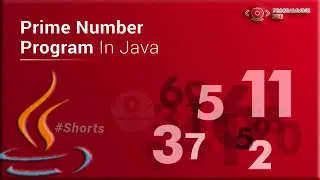 Java Program to Check Prime Number | 