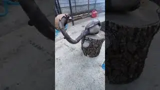 Глушитель схватывает, но не заводится