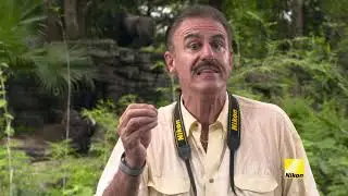 Animal Kingdom Photo Tips from Ron Magill