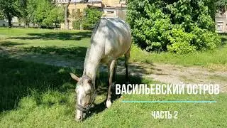 Санкт-Петербург, Васильевский остров. Велопрогулка (часть 2/5)