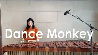 Dance Monkey - Tones and I / Marimba Cover