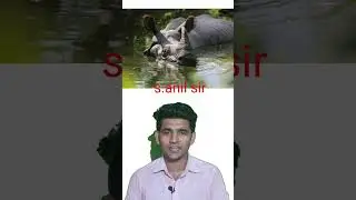 Rhino of kaziranga national park | #short #shorts