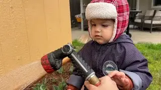 США 🇺🇸 ЮНЫЙ САДОВОД