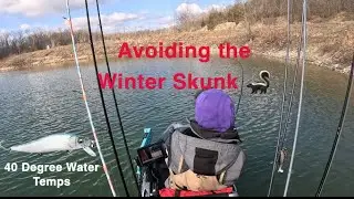 Winter Jerkbait Fishing Cold Water ( Avoid the Skunk🦨)