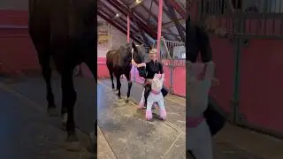 How to make a horse kid proof💥❤️ #shorts #horse #pink