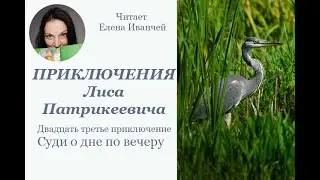 Суди о дне по вечеру #проЛиса #читаетЕленаИванчей