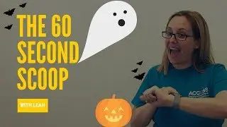 The Scoop on Our Pumpkin Contest