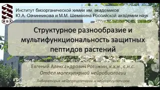 XV Молодёжный семинар: «Структурное разнообразие и мультифункциональность защитных пептидов растений