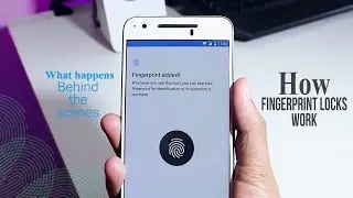 how fingerprint scanners work | Tech behind fingerprint locks