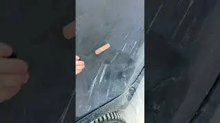 #corolla