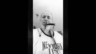 Train Whistle Blues - Original Dylanesque Blues Folk Song With Guitar And Harmonica by  Zeb