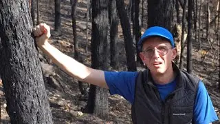 Australian Bushfires 2020. It’s time to change.