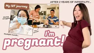 My IVF Journey - 2 Years of Egg Retrievals, IUI, Embryo Transfers