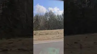 #путешествие #дорога