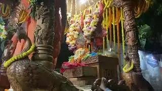 ইসকন মায়াপুরের সন্ধের শোভাযাত্রা সাথে থাকছে কীর্তন #isckontemple #mayapur