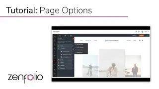 Understanding Page Options in the Zenfolio Web Editor