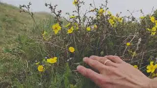 Hiking in the fog: Kumbel / Туман - ПВД на Кумбель