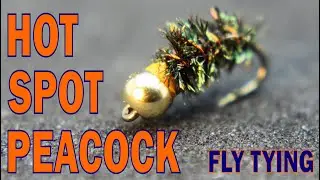 HOT SPOT PEACOCK - FLY TYING