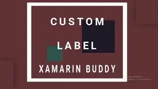 Xamarin.Forms Custom Rounded Label