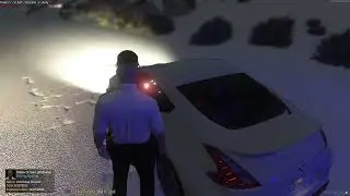 How to Properly pull over an AI in FivePD