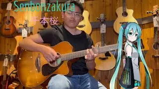Senbonzakura (千本桜) | Hatsune Miku | Acoustic Fingerstyle Guitar Cover