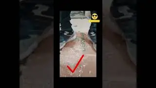 all Bihari kabja kaise chali carpanter trak